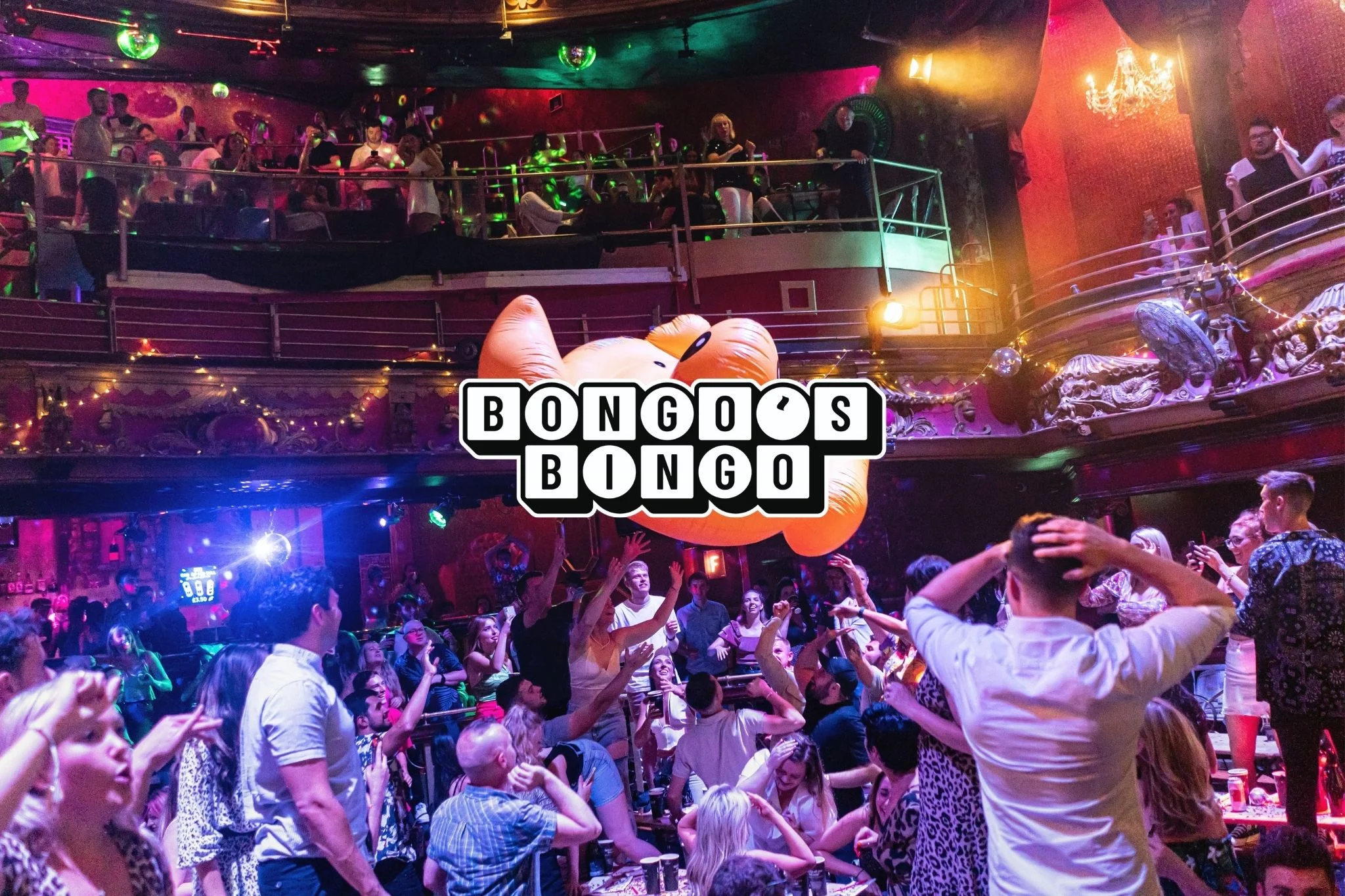 Bongos Bingo Albufeira